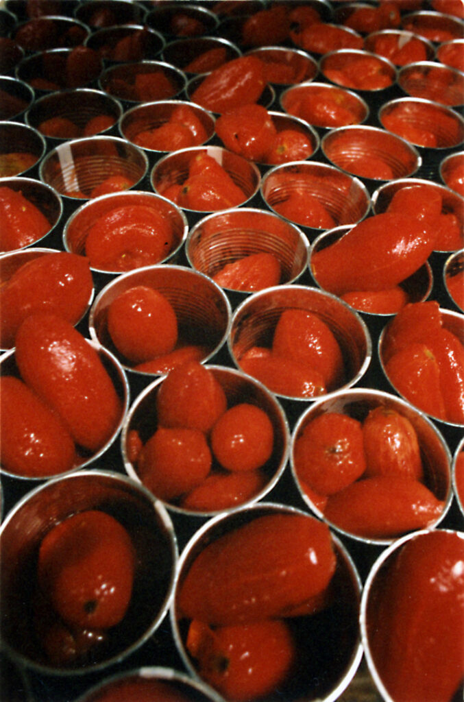 Industria Conserve di pomodoro: nel 2022 5,5 milioni di tonnellate trasformate: -10% rispetto all’anno scorso